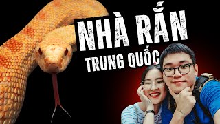 Một Căn Nhà, Hàng Trăm Con Rắn Kiểng – Cuộc Sống Kỳ Lạ Giữa Lòng Bắc Kinh!? | Thèm Bò Sát Tập 1