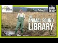 Animal Sound Recording and Analysis