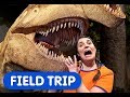 Dinosaur Paleontology Concepts