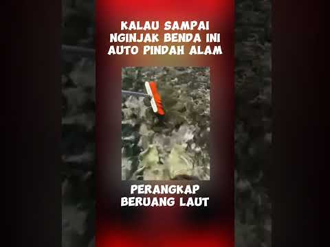 Auto Pindah Alam #shorts