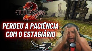 🚨 CLIMÃO: XINGOU O ESTAGIÁRIO AO VIVO! 😱 (Guild Wars 2)