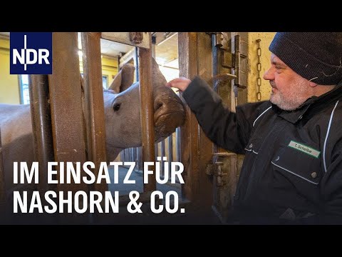 Die Tierärzte im Zoo Osnabrück | Die Nordreportage | NDR Doku