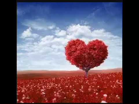 chanson pour ma creush