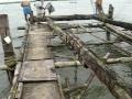 Catching Fish With Chinese Fishing Nets at Cochin, India