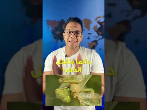 واحدة من أوحش قصص الحب الموجودة !