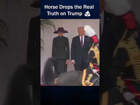 Horse Drops Real Truth on Trump 💩