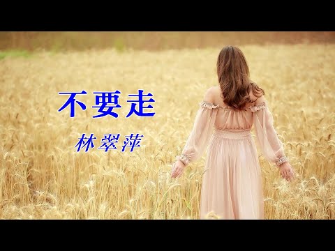 不要走-林翠萍-伴奏 KARAOKE