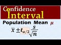 Confidence Intervals and Sample Size Effects