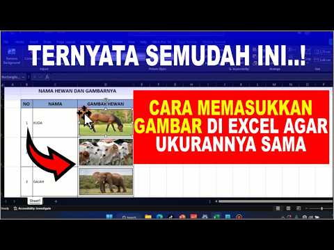 Cara Menambahkan Gambar di Excel Agar Ukurannya Sama
