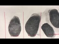 Fingerprint Processing and Quality Control