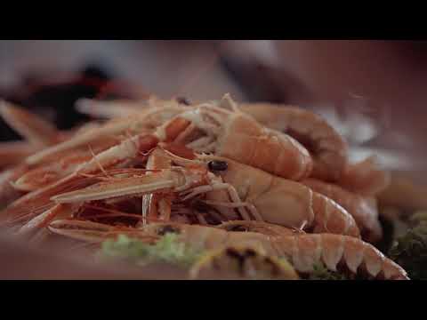Using the sea as a supermarket? Why not? | Salt & seafood from Læsø | A Taste of Denmark