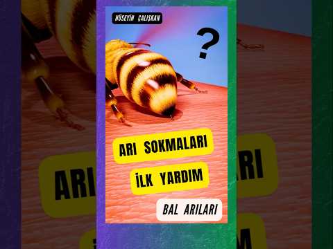 Arı sokmaları ilk yardım nasıl yapılır Arı sokunca ne yapmalıyız Bal arıları ve eşek arıları farklar