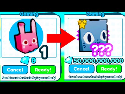 POOR NOOB to RICH! Without Robux in Pet Simulator X!