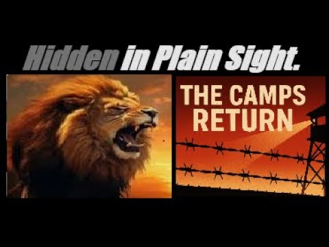 ECONOMIC MELTDOWN? This Is WAY WORSE... (The Camps Return...) Mannarino