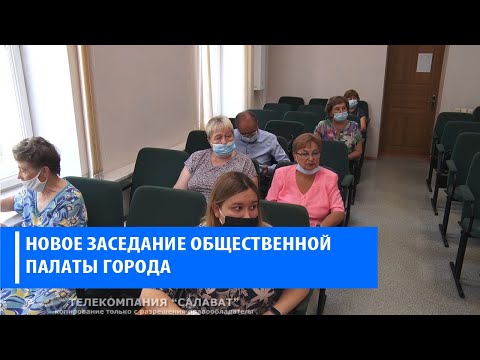 Проблема бездомных животных, вопросы безопасности детских площадок и жалобы горожан на управляющие организации – в фокусе внимания Общественной палаты Салавата.