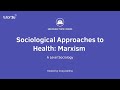 Healthcare Perspectives and Critiques