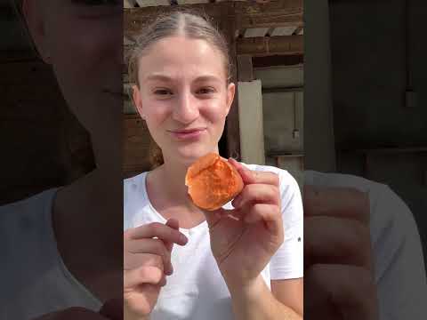 #cheval #cavaliere #patatedouce #degustation #humour