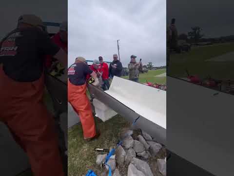 Catfish Water Slide! #fishing