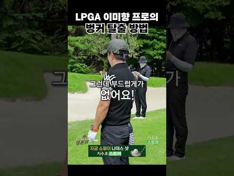 한국 <strong>골프</strong> 기술 구사하는 <strong>LPGA</strong> 프로 이미향
