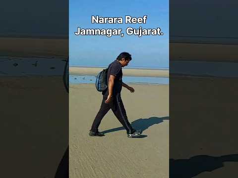 Narara Reef #shorts
