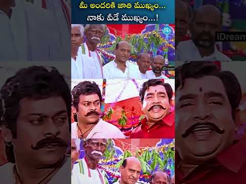 Chiranjeevi Best Movie Scenes #iDreamHDMovies