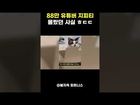 88만 유튜버 지피티의 숨겨진 사실 (feat. 시청기록)