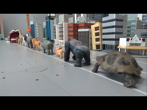 10 Animals enter Crocodile in mouth 10마리 동물 악어 입속으로 들어가기