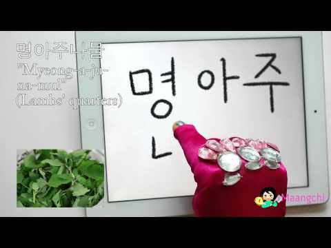 Korean food vocab: Myeongaju-namul