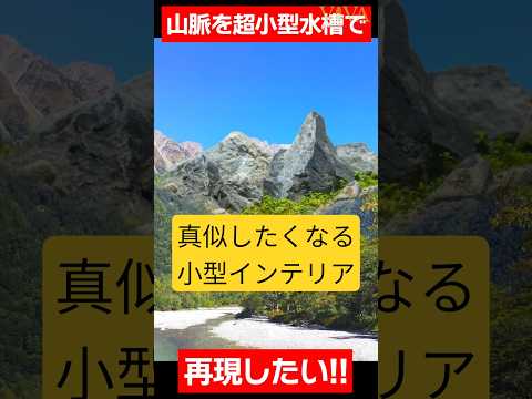超小型水槽に山脈を作る！ #アクアリウム #aquarium #小型水槽 #nanotank #aquascape