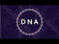 Exploring the Basics of DNA and Its Functions