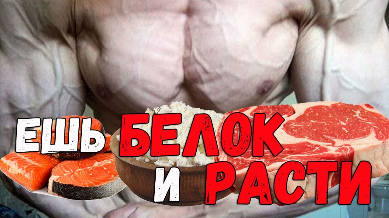 Сколько нужно белка для роста мышц