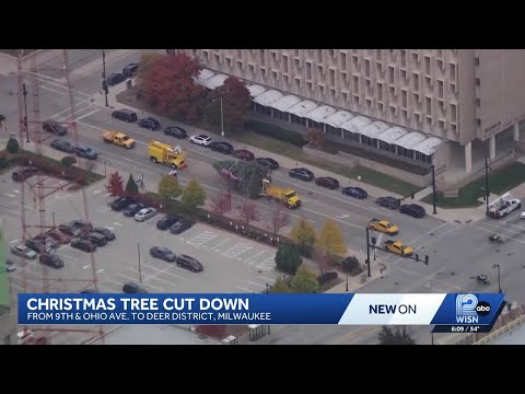 YouTube video thumbnail: Milwaukee's Official Christmas Tree Arrives in 'Cheer District'