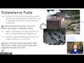 Fossil Fuels and Environmental Impact