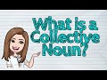 Collective Nouns for Groups