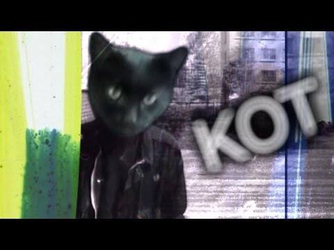 Кот - Восьмиклассница