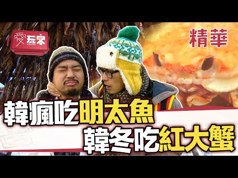 韓人年吃3000萬明太魚 比帝王蟹更好吃的紅大蟹【週一愛玩客】自由發揮精華｜20120326