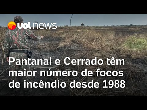 Pantanal e Cerrado têm maior número de focos de incêndio desde 1988