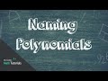 Understanding Polynomials and Their Classifications