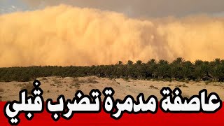 عاجل الآن 🔥|عاصفة رملية قوية جدااا تضرب مدينة ڨبلي و تؤدي الي.. #تونس 