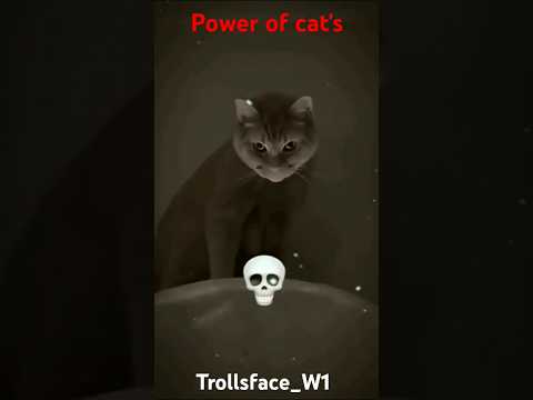 you're not afraid of animals #shorts #ytshorts #animals #animalshorts #shark #explore #fypシ