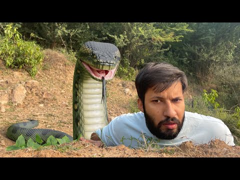 Anaconda Snake Chase - Snake Series - EP 2