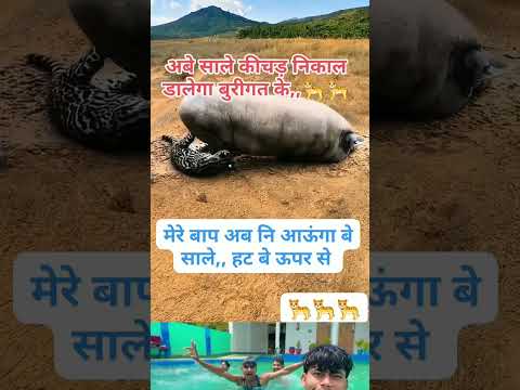 दम है तो हसी रोक के दिखाओ 🤣😂 #youtubeshorts # #funnyshorts #comedyshorts #comedy #funyvido