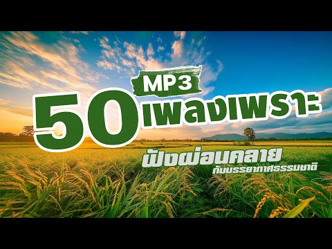 รวมเพลง 50 เพลงเพราะ MP3 ฟังผ่อนคลาย