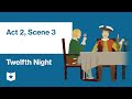 Character Actions and Themes in Twelfth Night