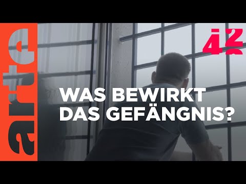 Was bringen Strafen? | 42 - Die Antwort auf fast alles | ARTE