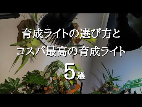 【これを選べば間違いない】観葉植物がメキメキ育つ！高コスパのおすすめ育成ライト5選とソケット3選 | 植物育成ライトの選び方と注目すべきポイント