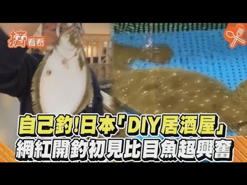 自己釣！日本「DIY居酒屋」 網紅開釣初見比目魚超興奮｜TVBS新聞｜擠看看