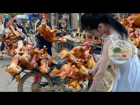 TẬP ĐẶC BIỆT! Đây là nơi bán CKÓ tươi ngon nhất việt nam và nhiều nhất trên thế giới