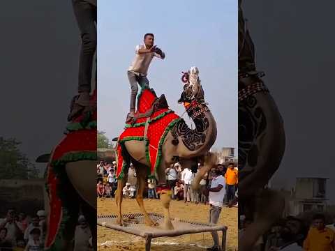 ইয়া মোস্তফা নবি।