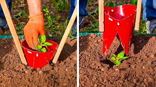 Seu jardim se tornará um paraíso com estas dicas fáceis